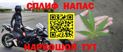 эйфоретик Пугачёв