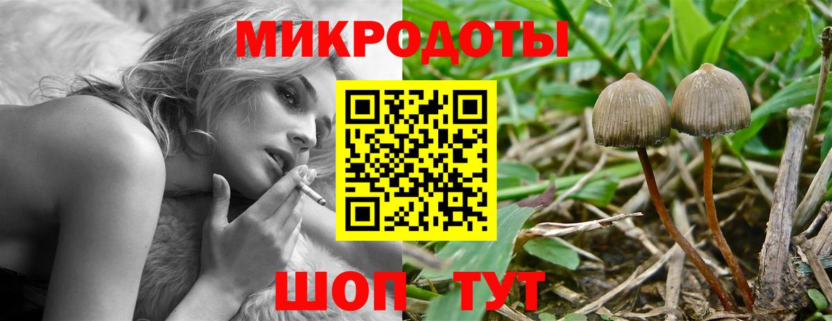 Галлюциногенные грибы мицелий Арсеньев