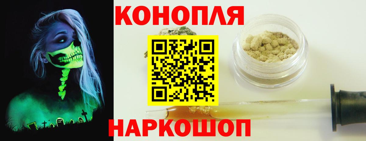 Конопля сатива Арсеньев